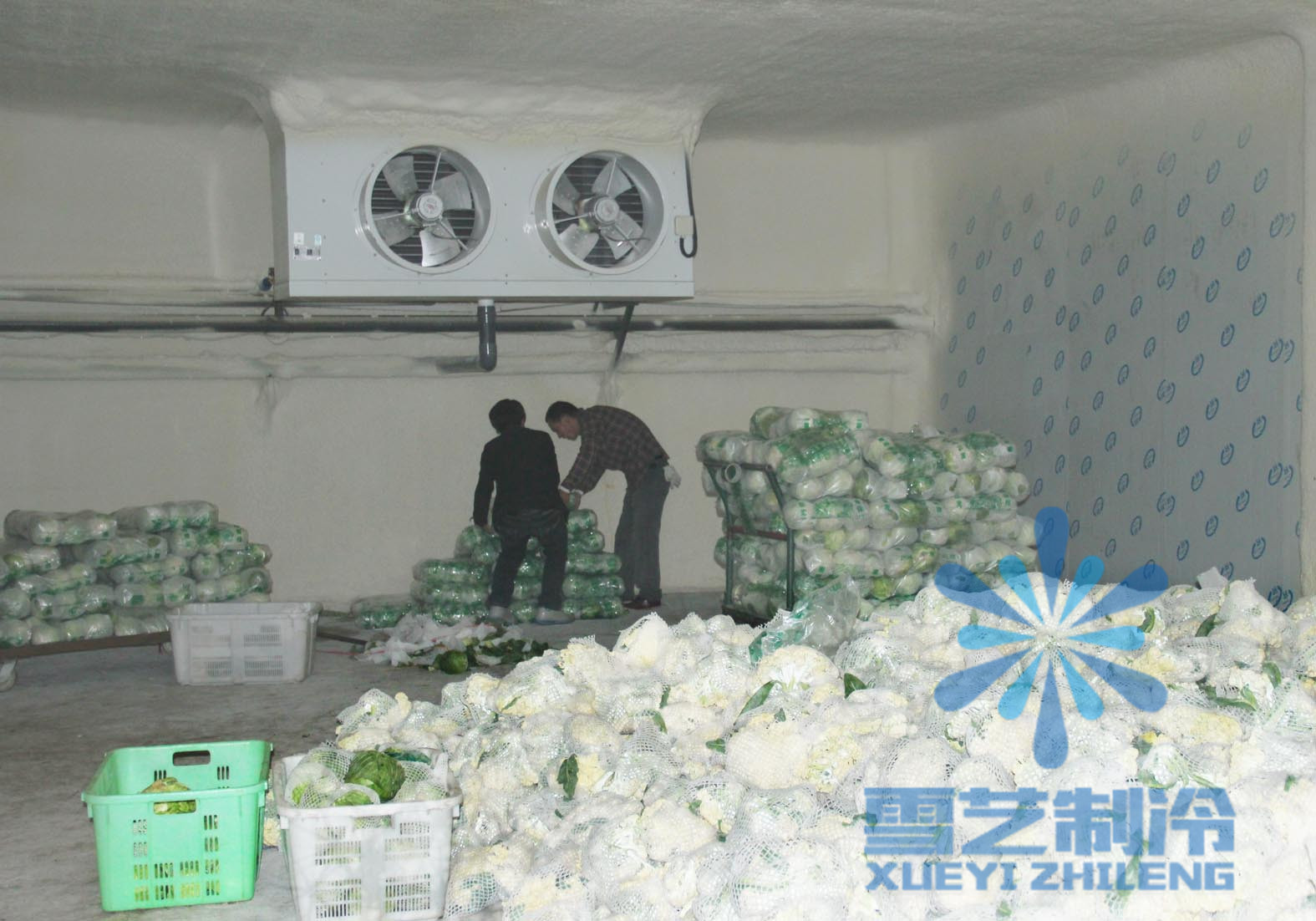 果蔬保鮮冷庫(kù)需要多少錢？有哪些因素影響造價(jià)？