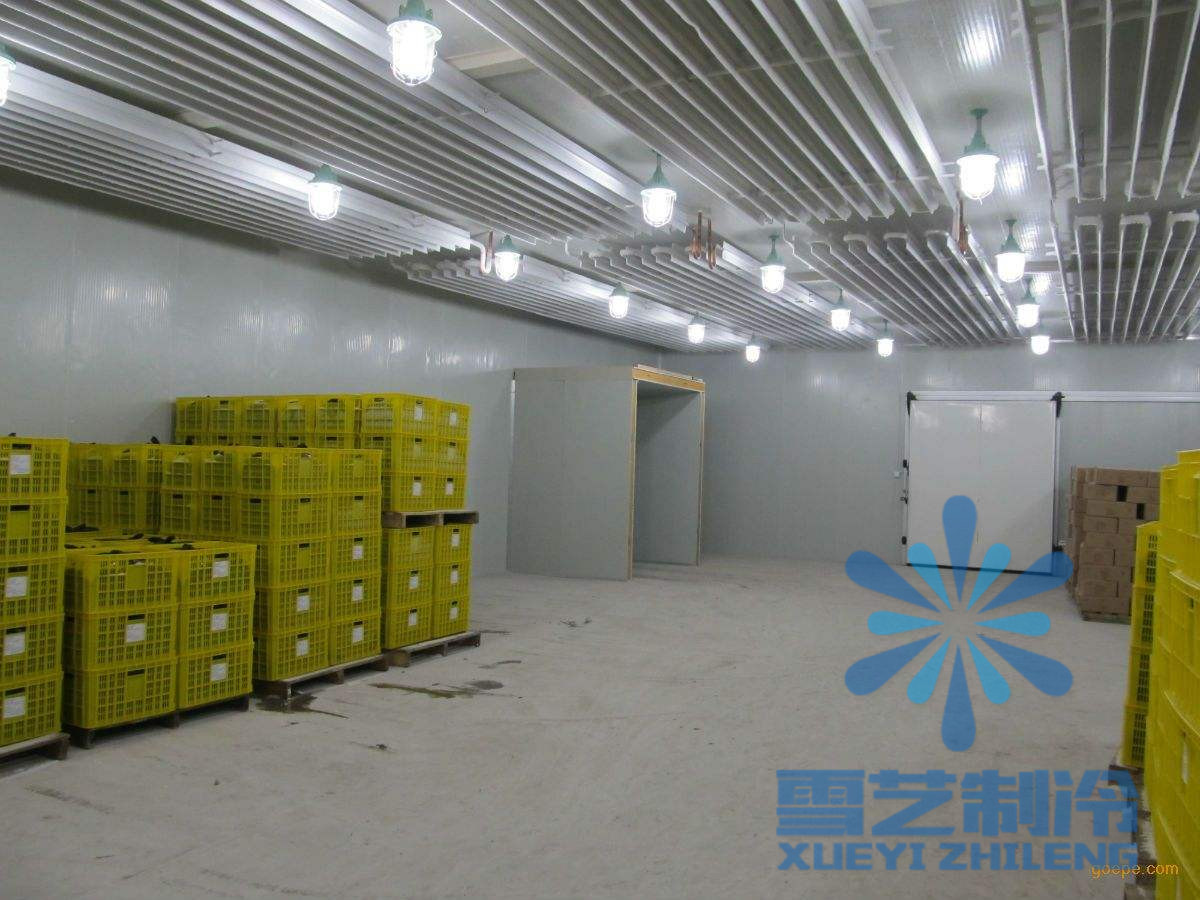 600立方氣調(diào)保鮮冷庫設(shè)計(jì)安裝，氣調(diào)保鮮冷庫