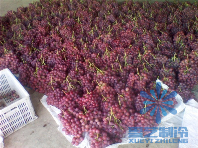 水果保鮮冷庫設(shè)計(jì)安裝，冷庫造價(jià)分析