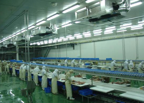 屠宰場(chǎng)冷庫