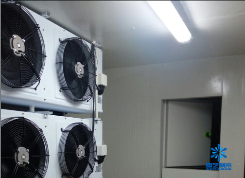 1573874188871951.jpg 2021855cb95d4886ac4fe83ad1e1286a.jpg