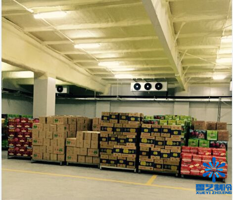 土建冷庫(kù)