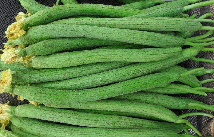 絲瓜冷庫，絲瓜保鮮方法