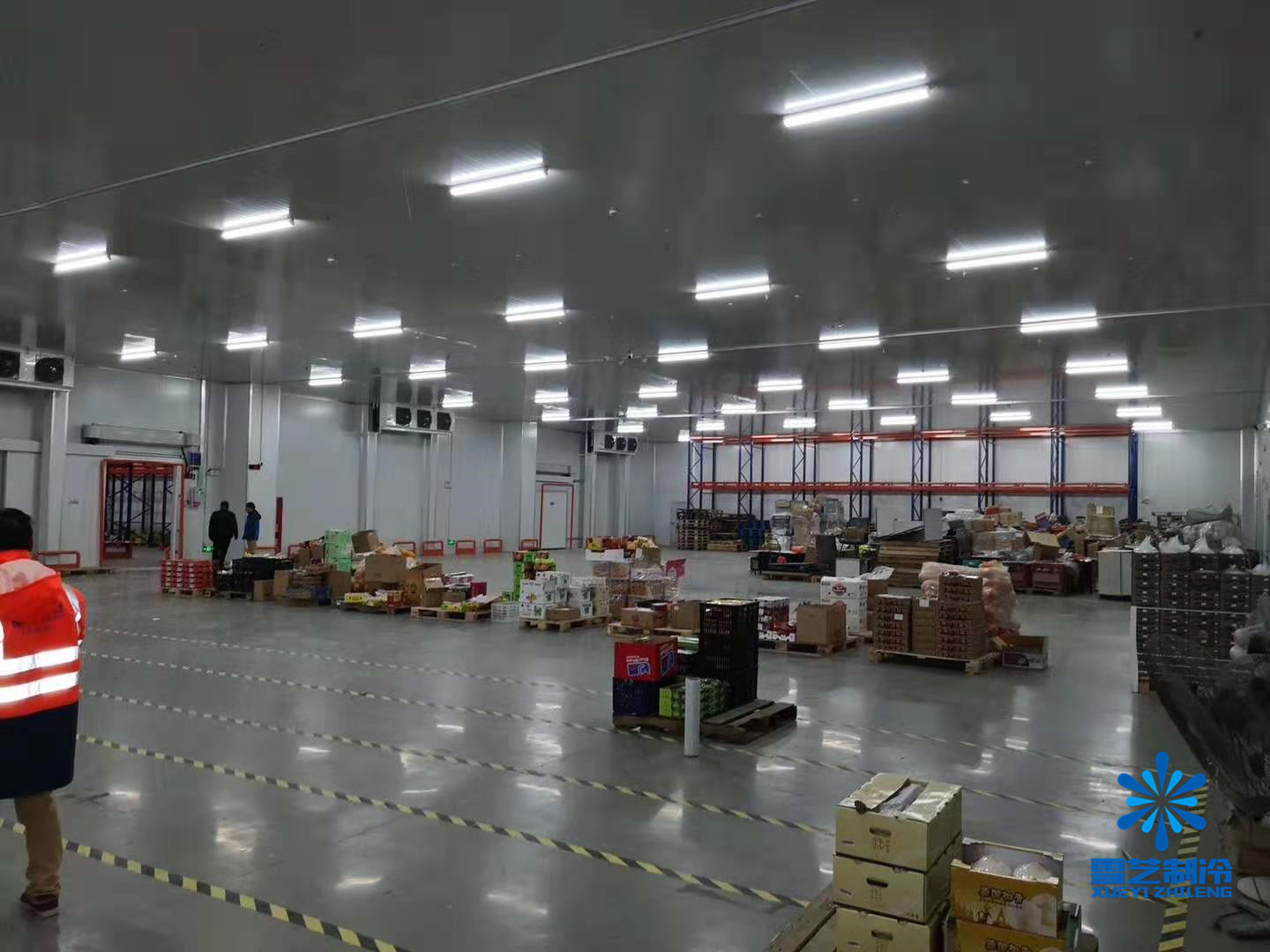 5000噸大型蔬菜保鮮冷庫(kù)造價(jià)