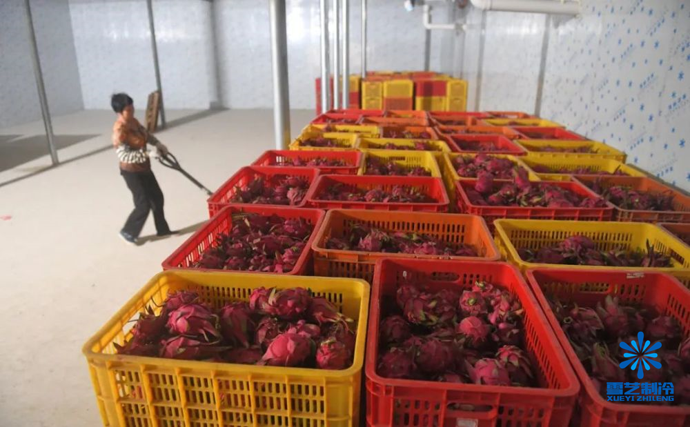 水果火龍果冷庫3.png 水果火龍果冷庫3.png