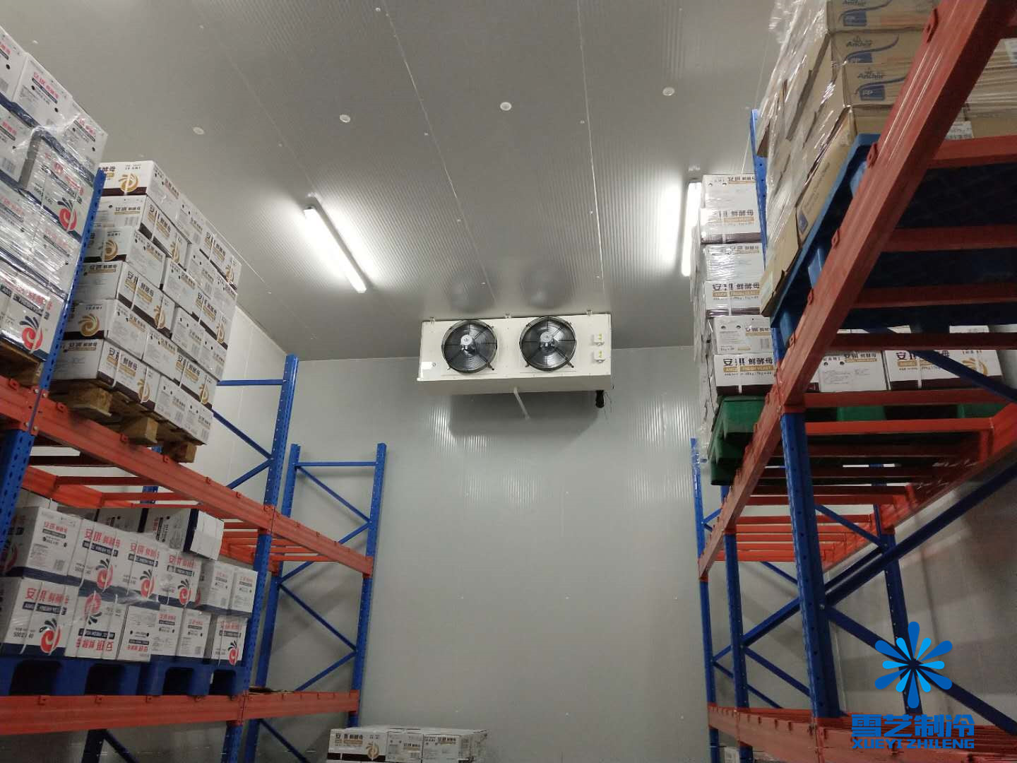 酵母冷庫，雪藝制冷建造