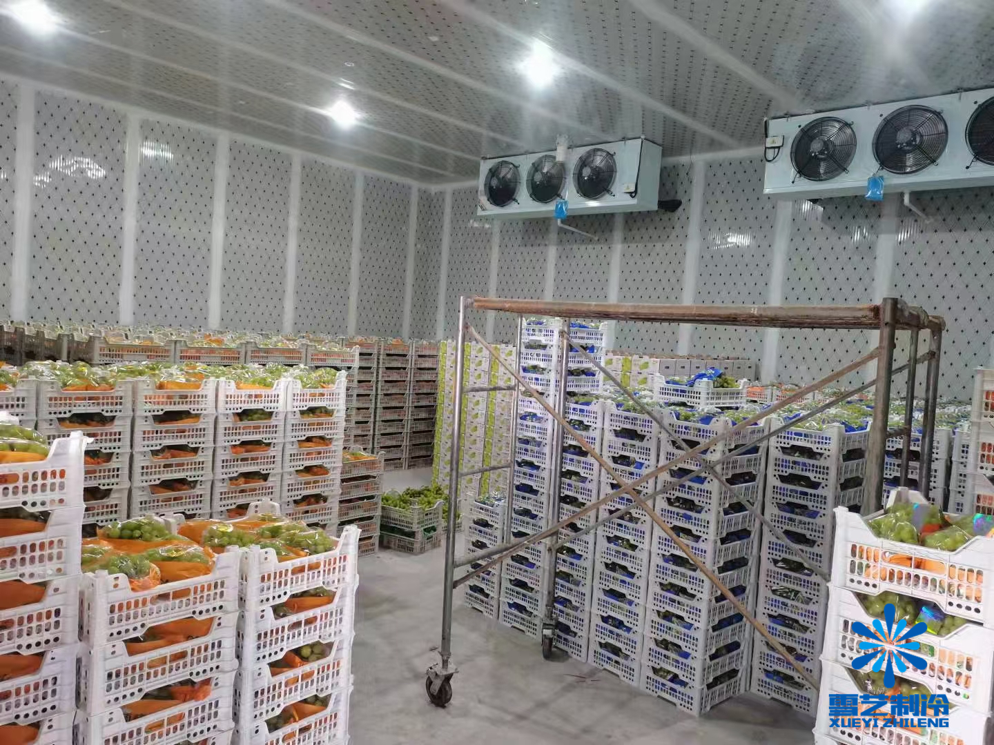 葡萄冷庫(kù) 葡萄冷庫(kù)