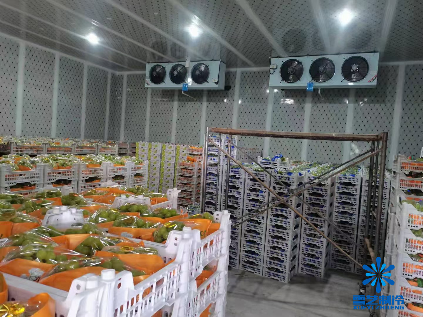 葡萄冷庫(kù) 葡萄冷庫(kù)