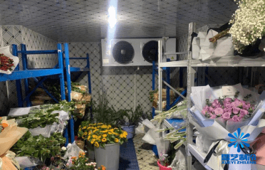 鮮花冷庫(kù) 鮮花冷庫(kù)