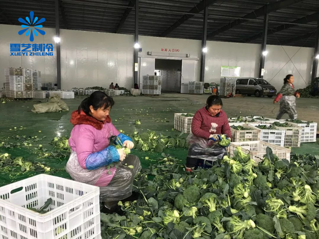 果蔬保鮮冷庫 果蔬保鮮冷庫