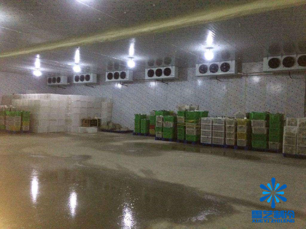 蔬菜保鮮冷庫 蔬菜保鮮冷庫