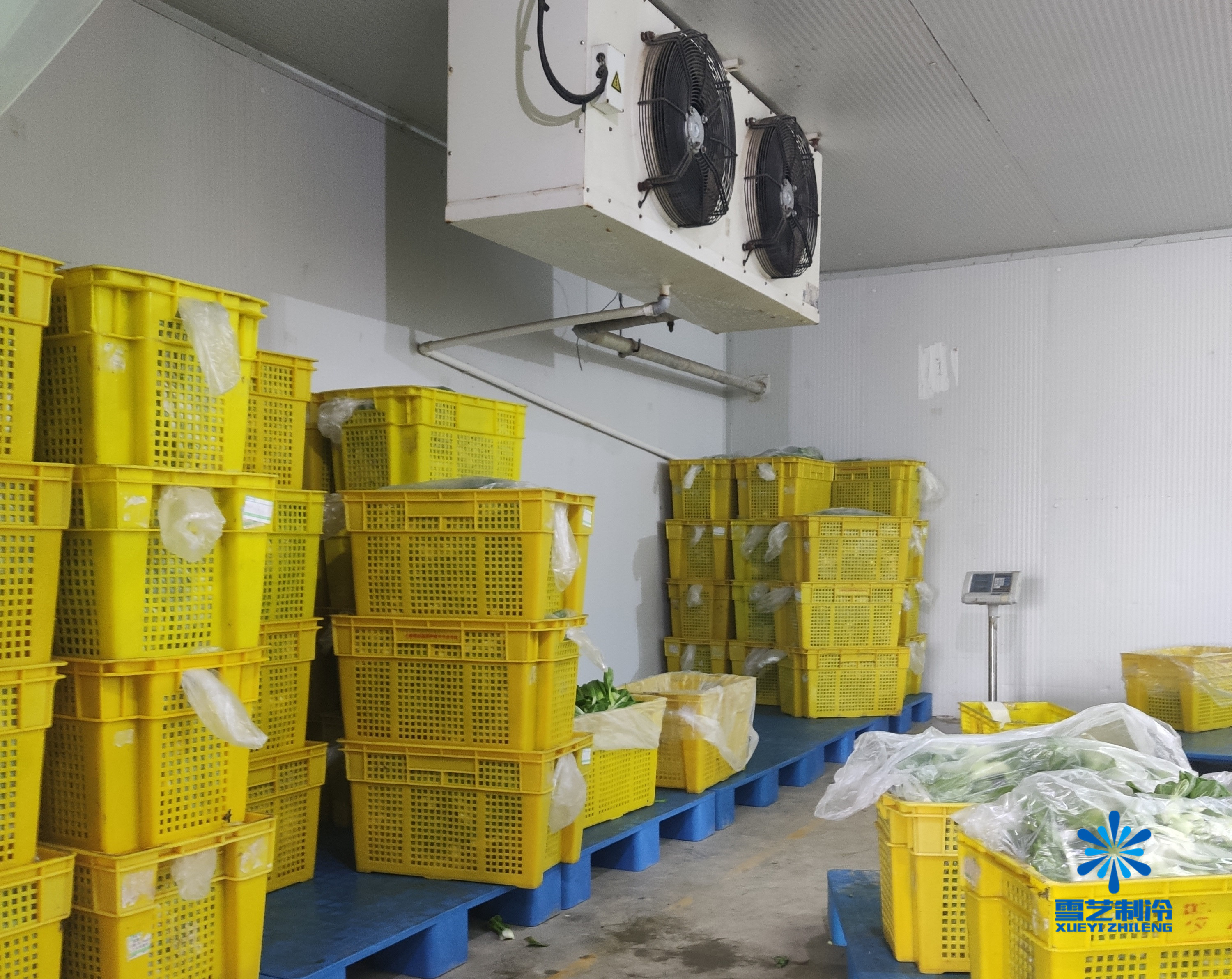 蔬菜保鮮冷庫(kù) 蔬菜保鮮冷庫(kù)