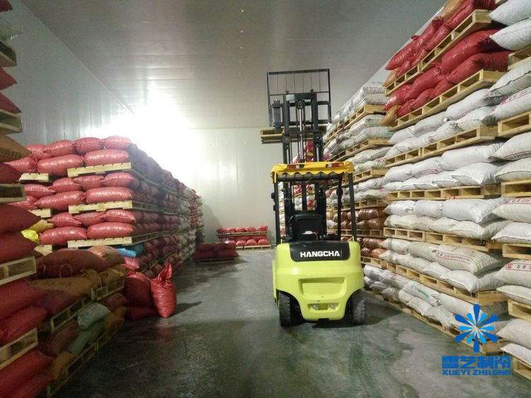 板栗冷庫 板栗冷庫