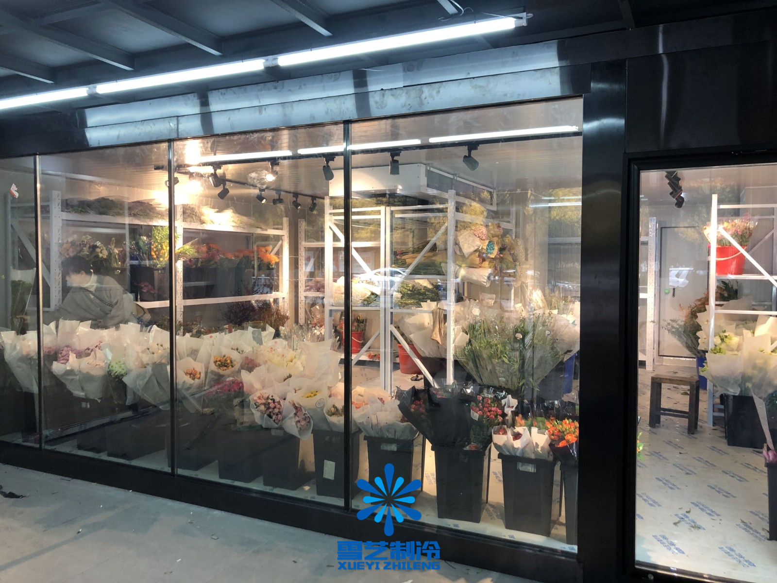 苗木花卉保鮮冷庫 苗木花卉保鮮冷庫