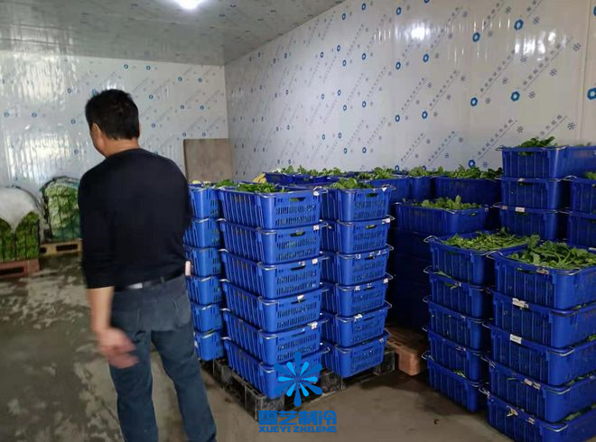 黃瓜保鮮冷庫(kù)