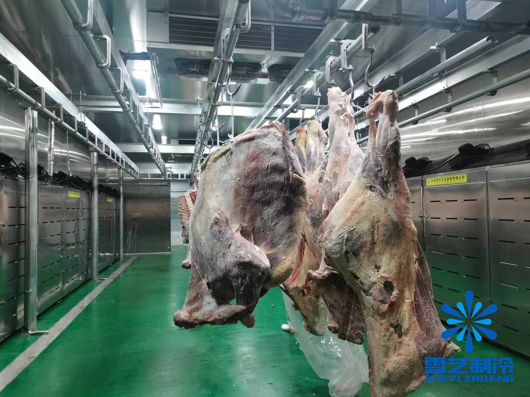緩化庫(kù)，肉類解凍冷庫(kù)1.jpg