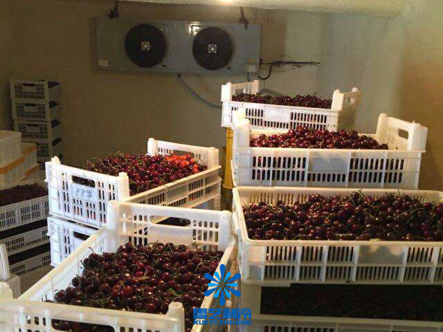 車厘子冷庫 車厘子冷庫