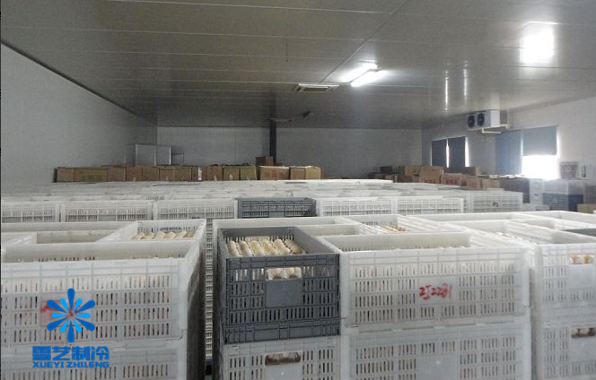 建設(shè)1000噸冷庫含設(shè)計安裝造價