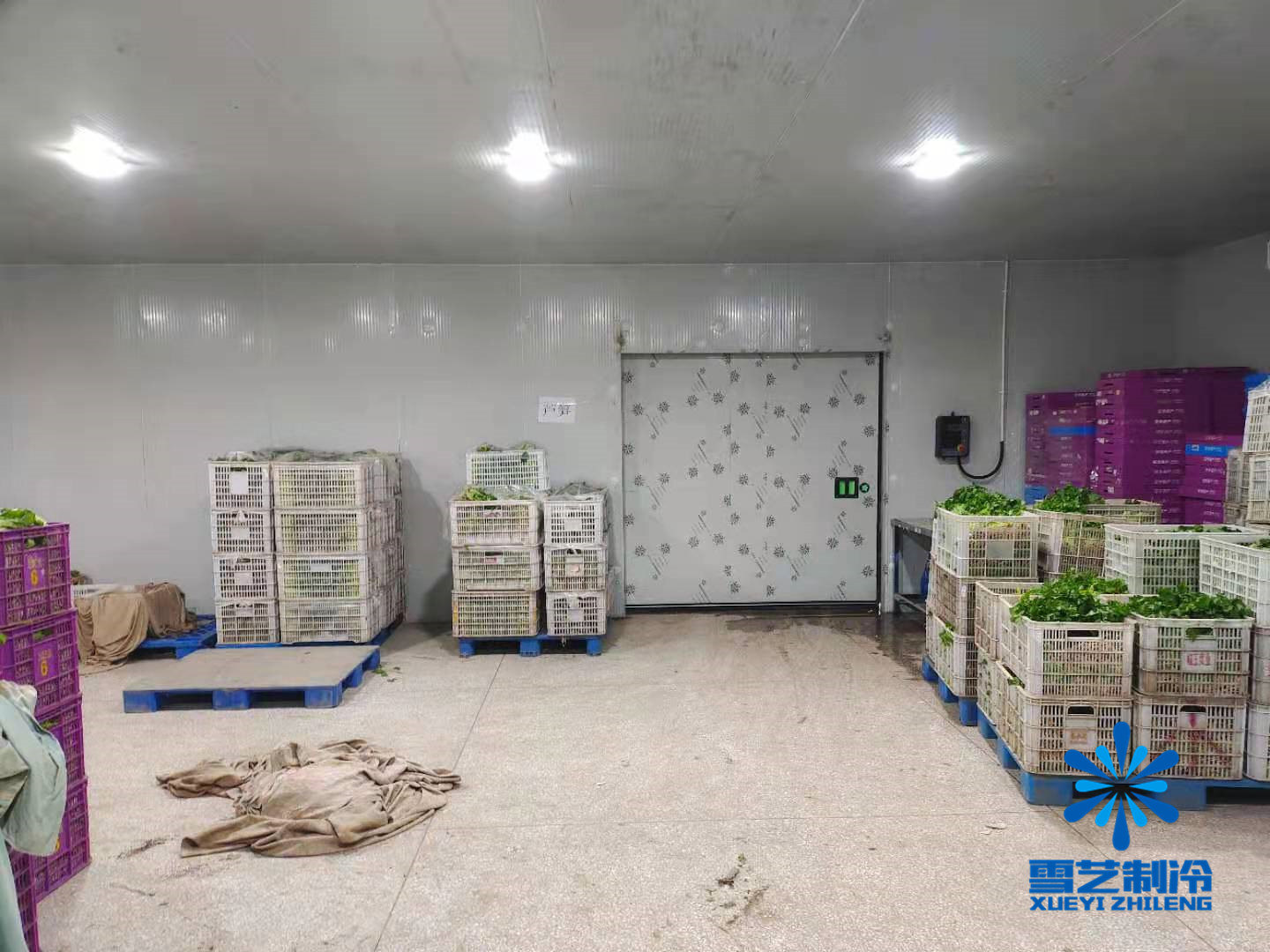 蔬菜冷庫(kù)
