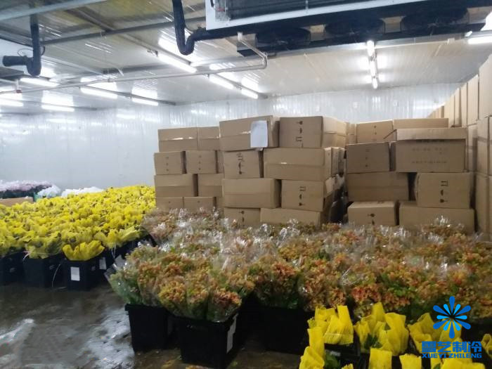 鮮花保鮮冷庫(kù)造價(jià)