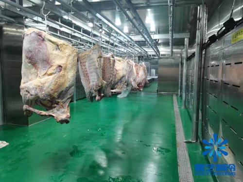 浙江海鮮肉類低溫高濕解凍庫(kù)、緩化庫(kù)工程案例